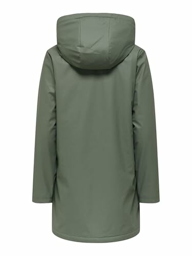 Vista trasera de una chaqueta verde con capucha.