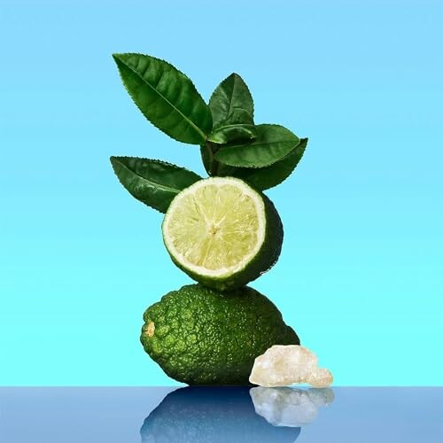 Lima cortada con hojas verdes y roca blanca sobre fondo azul.