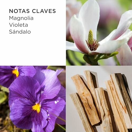 Cuatro imágenes que muestran magnolia, violeta y sándalo.