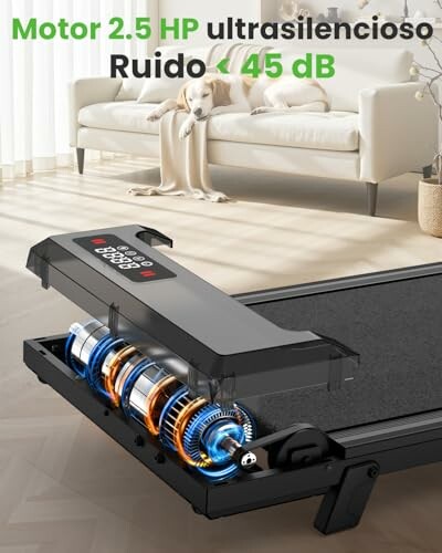 Cinta de correr ultrasilenciosa con perro en sofá